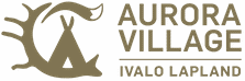 Aurora Village logo with text