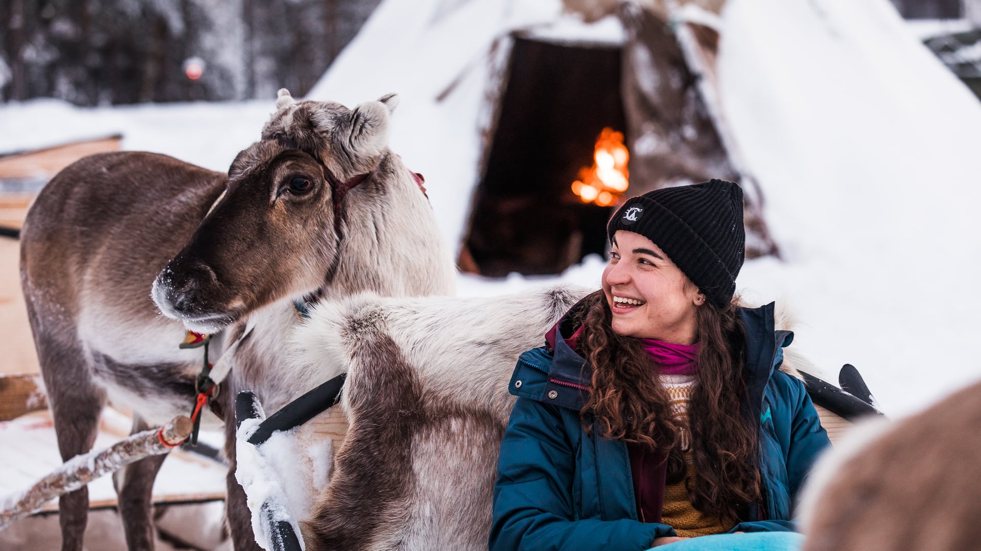 Aurora Village Winter 2019 Ivalo Lapland Finland. Reindeer tour starting.