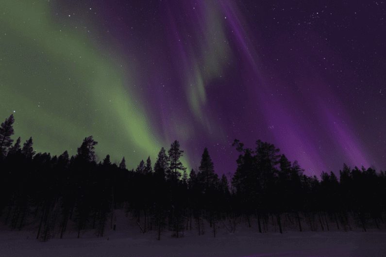 Aurora Tour and Northern Lights with Aurora Village Ivalo Lapland Finland
