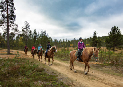 Finnish horses and riders on a forest road