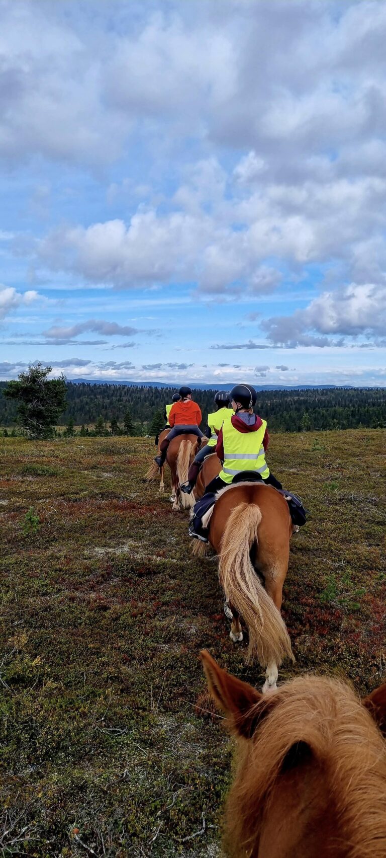 4-day-horseback-trail-riding-on-fell-top