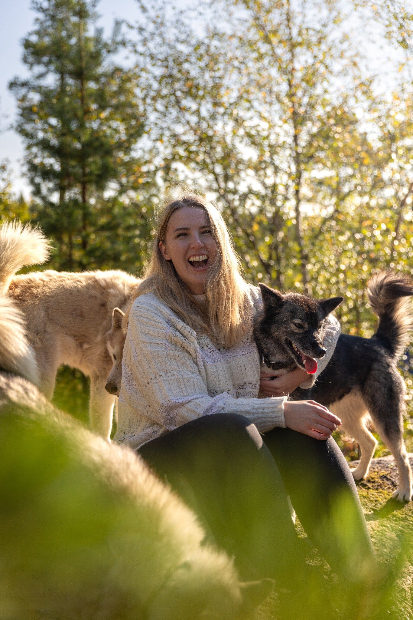 Guest spending time with huskies during a husky hiking activity on 1 November 2023