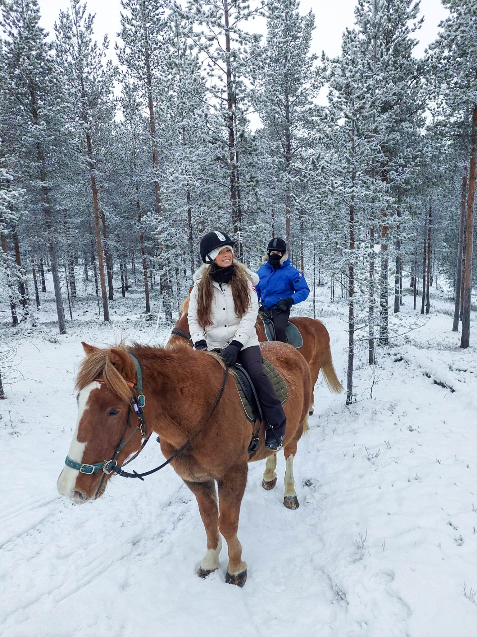 Guests horseback riding through a snowy pine forest near Ivalo on 25 November 2022