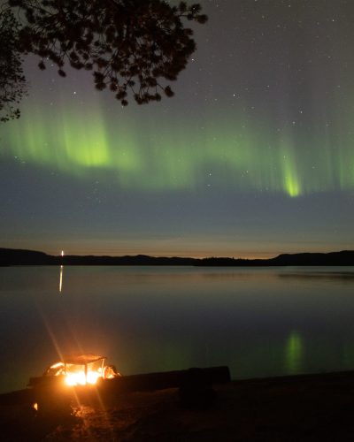 238A7627aurorabycarv