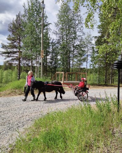 3-pony-ride-wilson-4