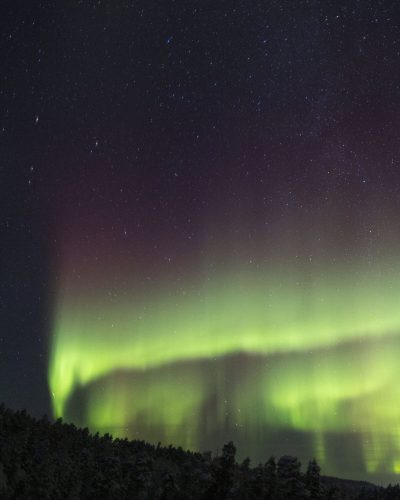 3T7A4952aurorabycarv