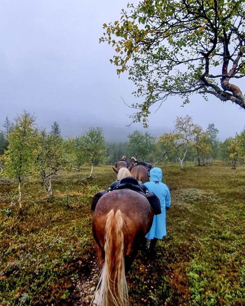 4-day-horseback-trail-riding-in-rain