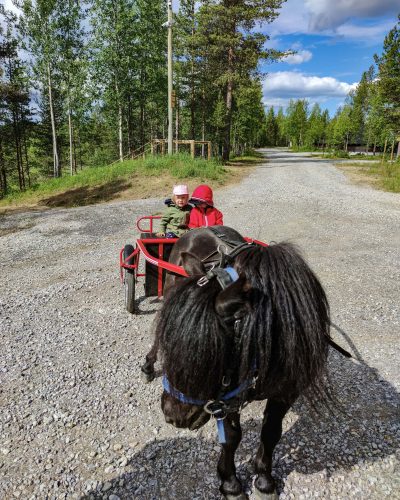 4-pony-ride-wilson-3