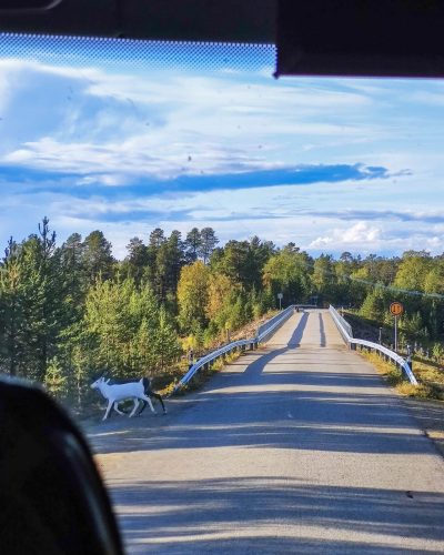 8-IMG_20200910_164434