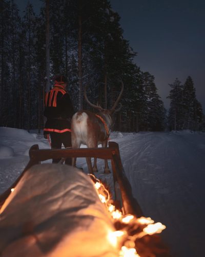 Group 8 copyreindeer-v