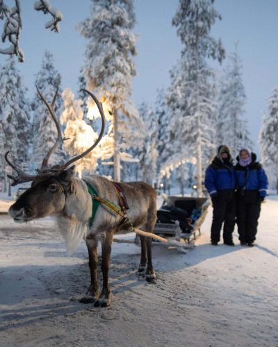 Layer 2 copy 2reindeer v